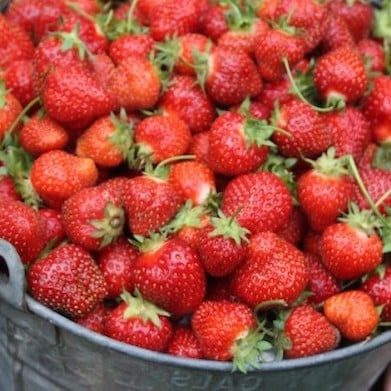 Why Our Organic Strawberries are the Right Choice for Your Family