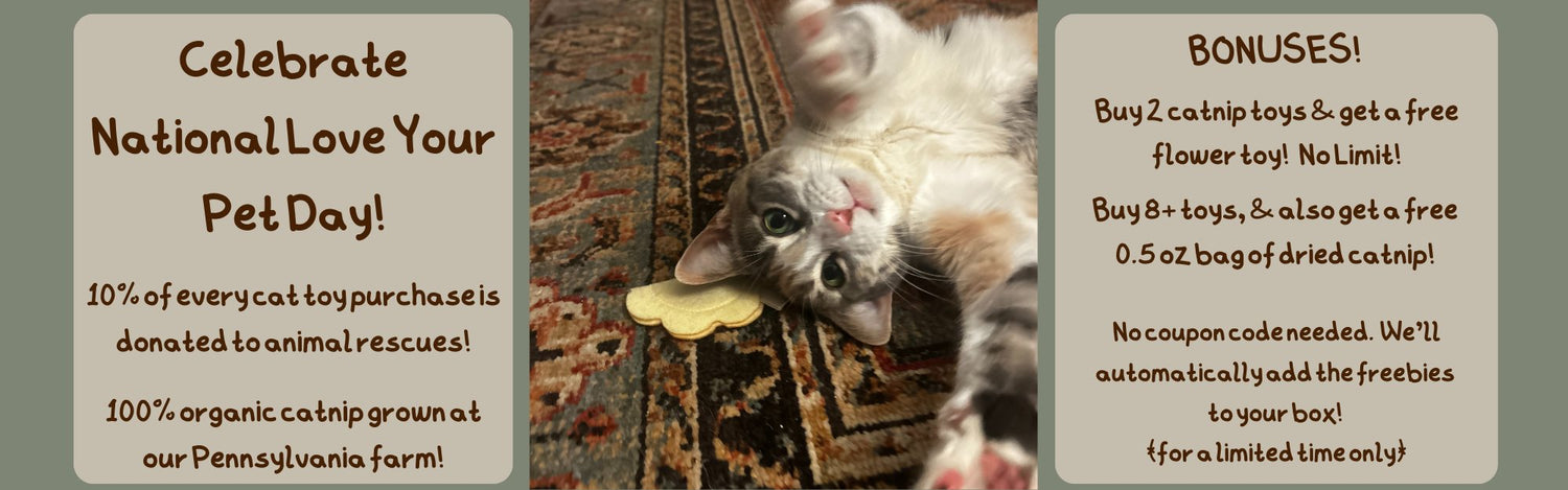 Cats