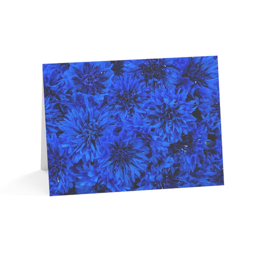 Notecards - Blue Bachelor Buttons