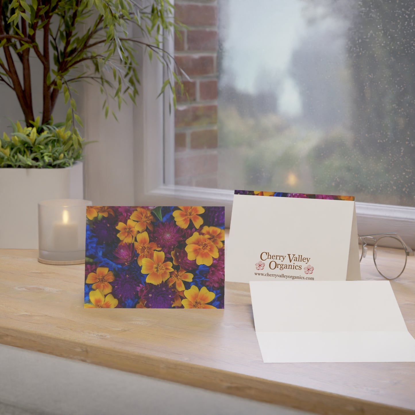 Notecards - Bold Petite Mix