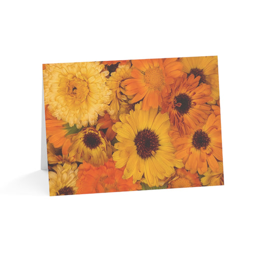 Notecards - Calendula Sunset