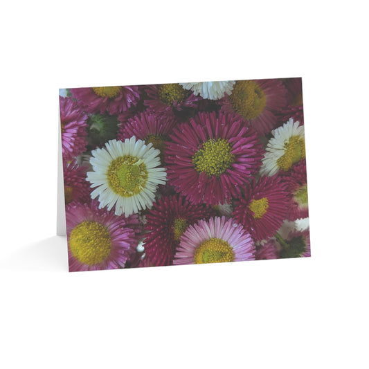 Notecards - English Daisies