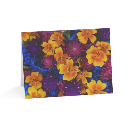 Notecards - Bold Petite Mix