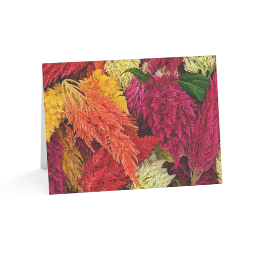 Notecards - Cockscomb