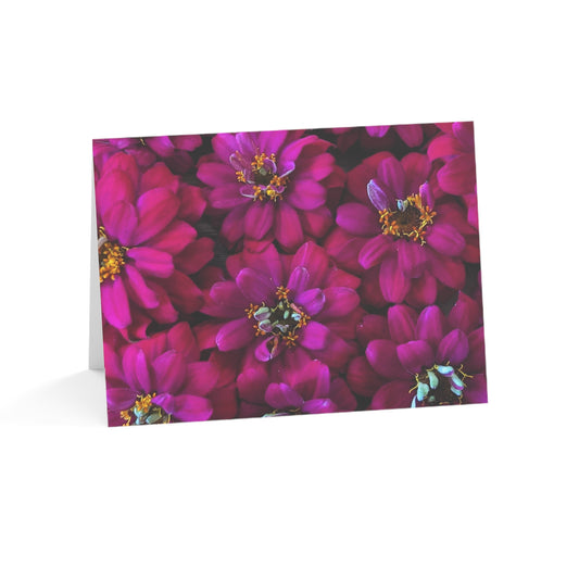Notecards - Magenta Zinnias
