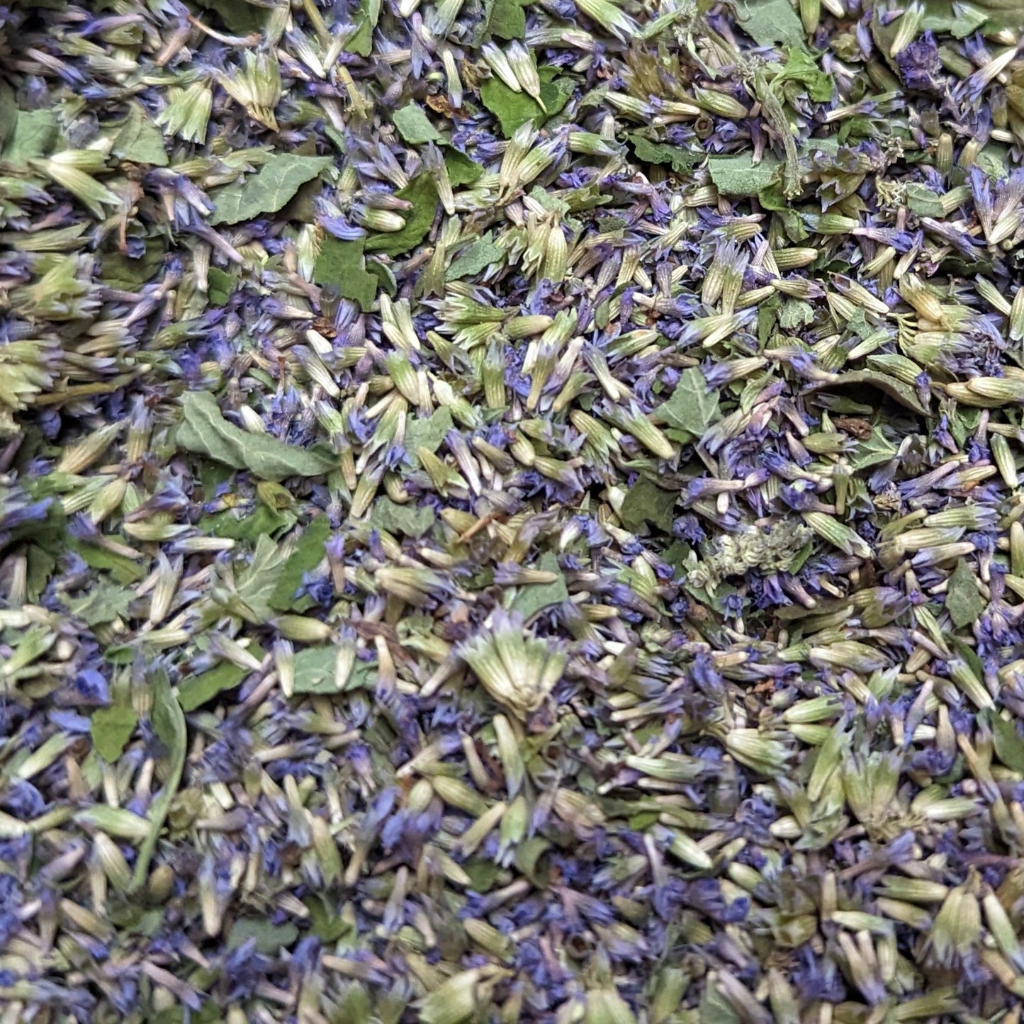 Edible Flower Petal Confetti - Anise Hyssop