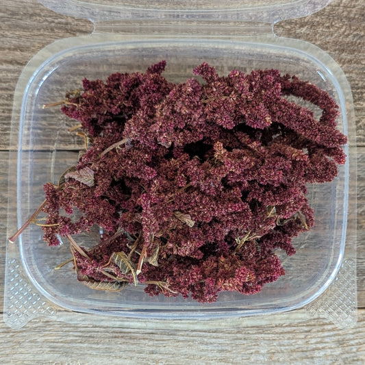 Burgundy Amaranth for Cake Decorating