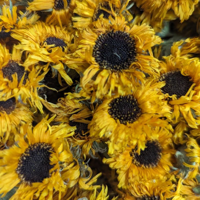 Dried Edible Flowers - Calendula Flowers, Gold