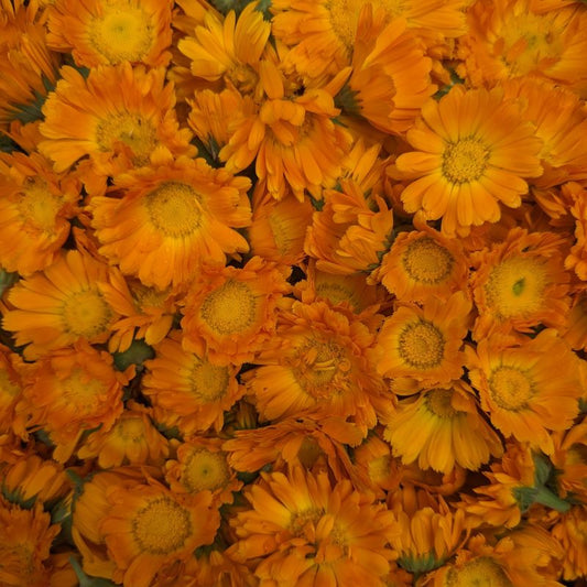 Fresh Edible Flowers - Calendula, Orange
