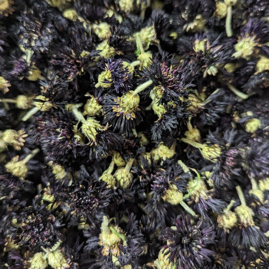 Dried Edible Flowers - Bachelor Buttons, Black Button
