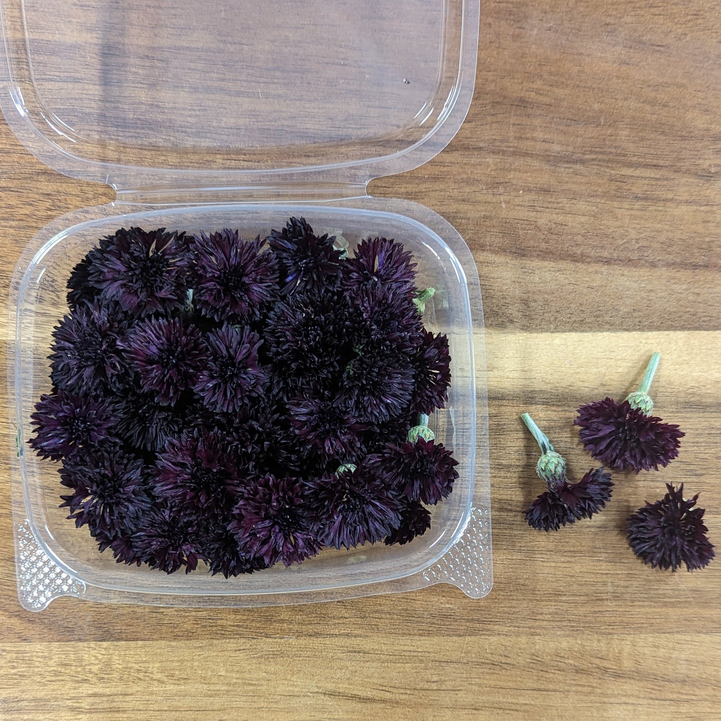 Fresh Edible Flowers - Bachelor Buttons, Black Button