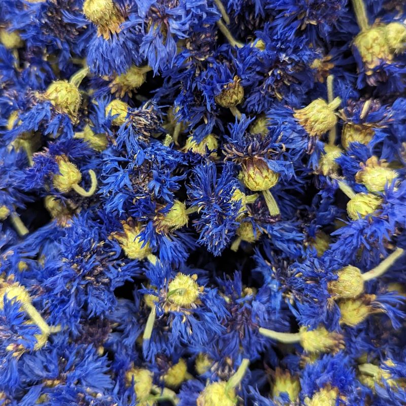 Dried Edible Flowers - Bachelor Buttons, Blue Boy – Cherry Valley Organics