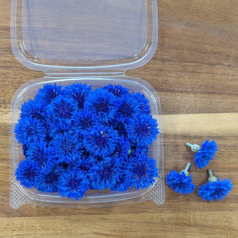 Fresh Edible Flowers - Bachelor Buttons, Blue Boy