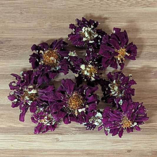 Edible Zinnias for Cake Decorating, Deep Purple