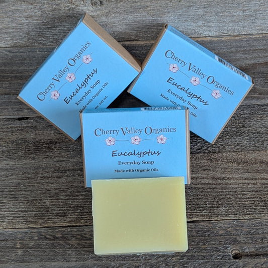 Eucalyptus Everyday Soap