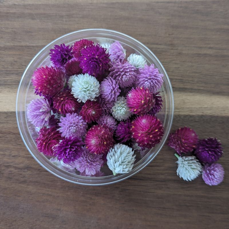 Fresh Edible Flowers - Gomphrena