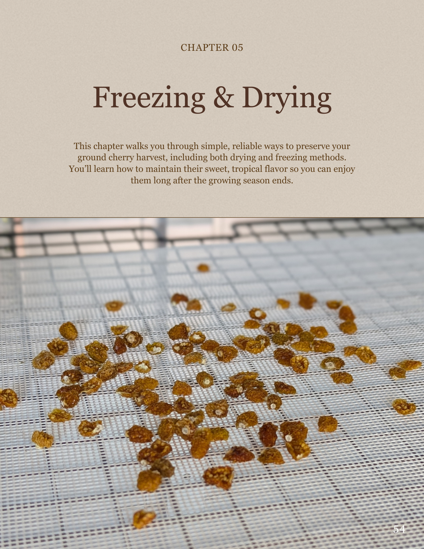 Ground Cherries: From Seed to Your Table