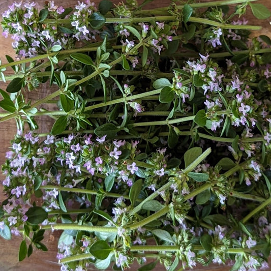 Fresh Edible Flowers - Thyme, Lemon