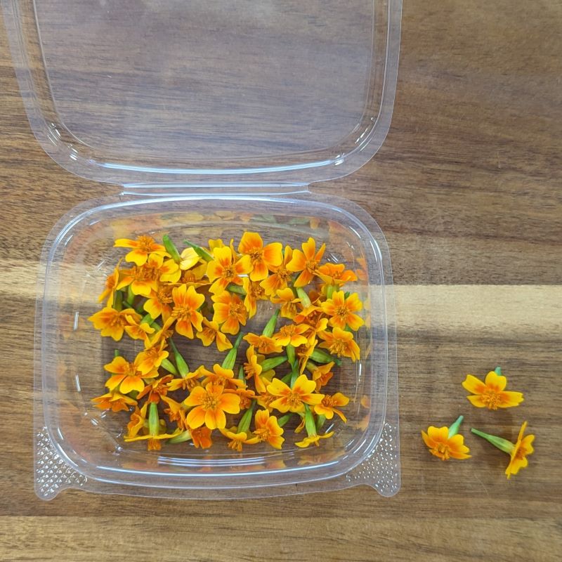 Fresh Edible Flowers - Marigolds, Gem