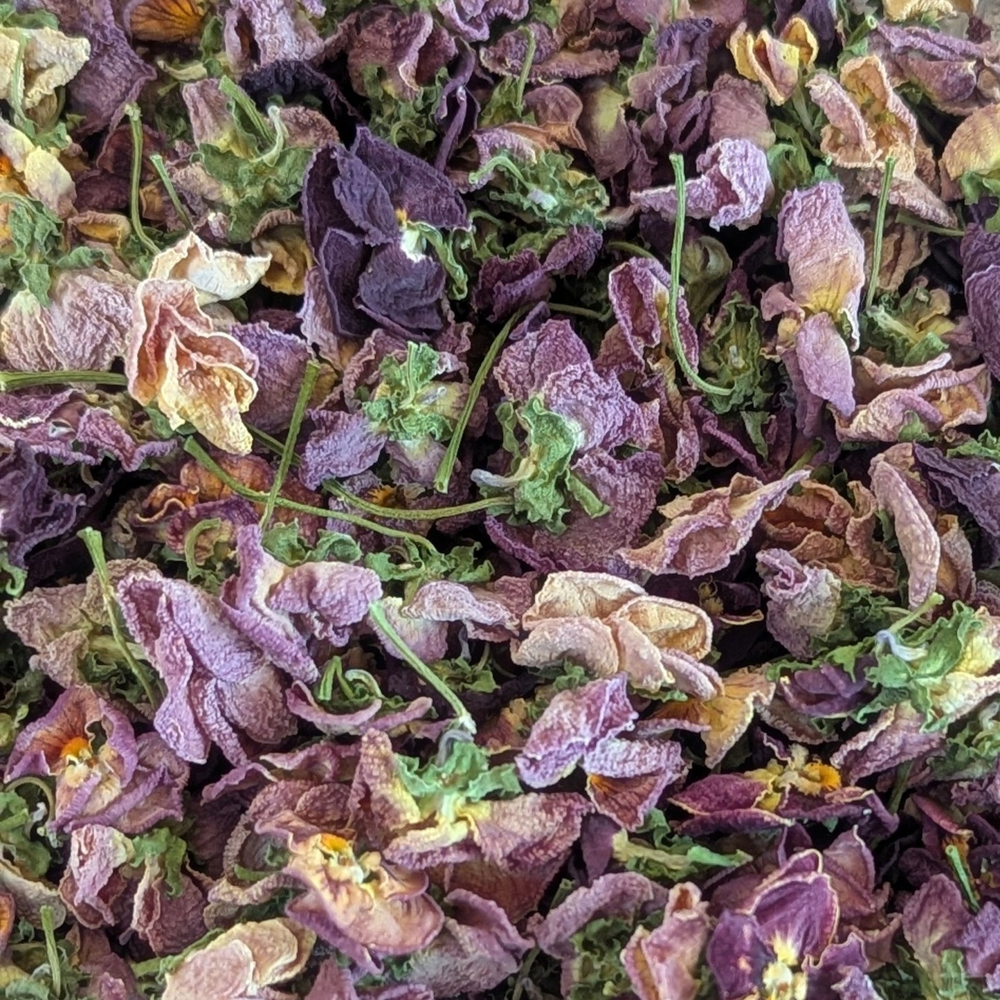 Dried Mulberry & Mauve Violas for Cake Decorating