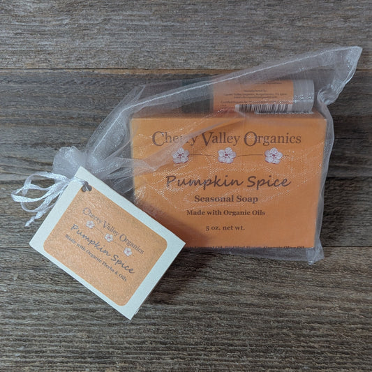 Pumpkin Spice Gift Bag