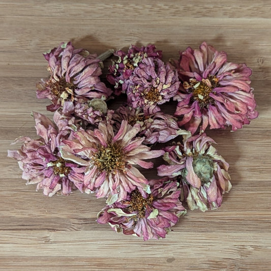 Edible Zinnias for Cake Decorating, Coral Blush