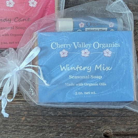 Wintery Mix Gift Bag