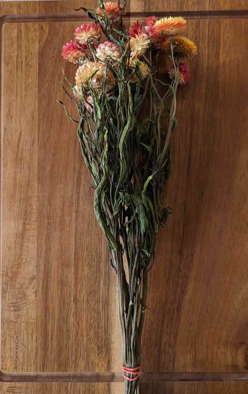 Dried Strawflower, Apricot Peach Mix