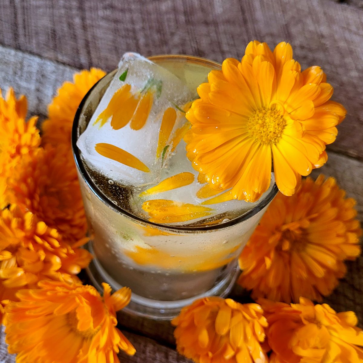 Fresh Edible Flowers - Calendula, Orange
