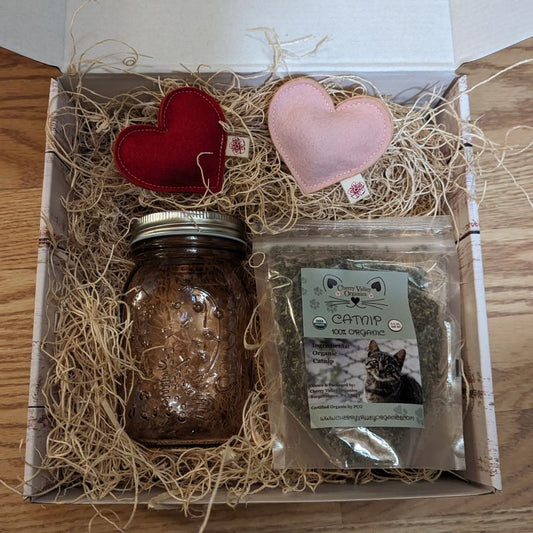 Happy Cat Gift Set