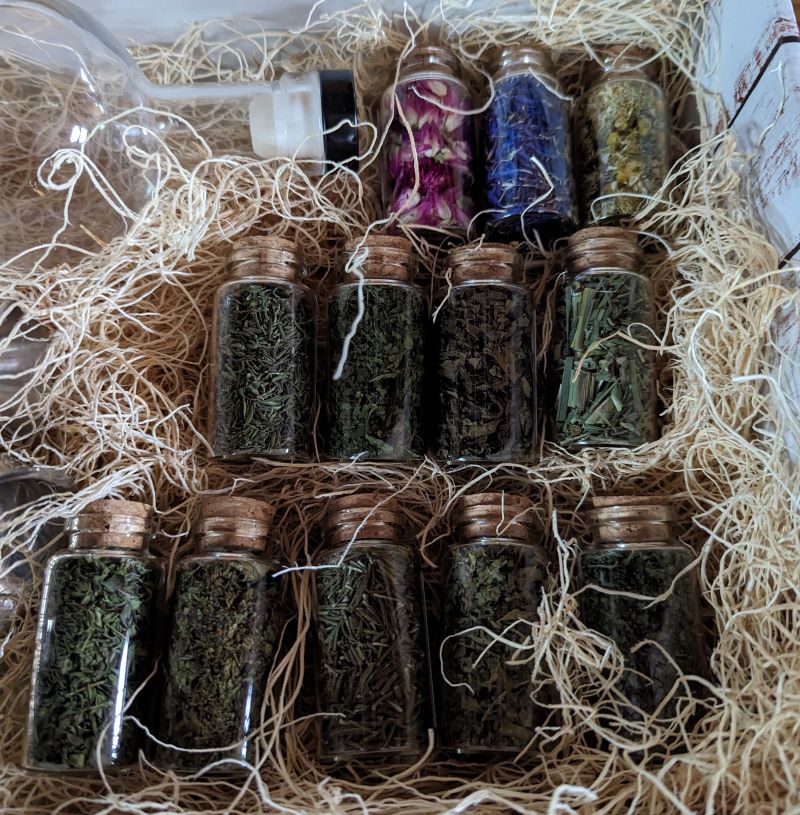 Botanical Infusion Kit