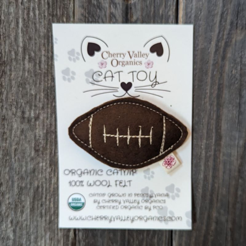 Football Catnip Toy