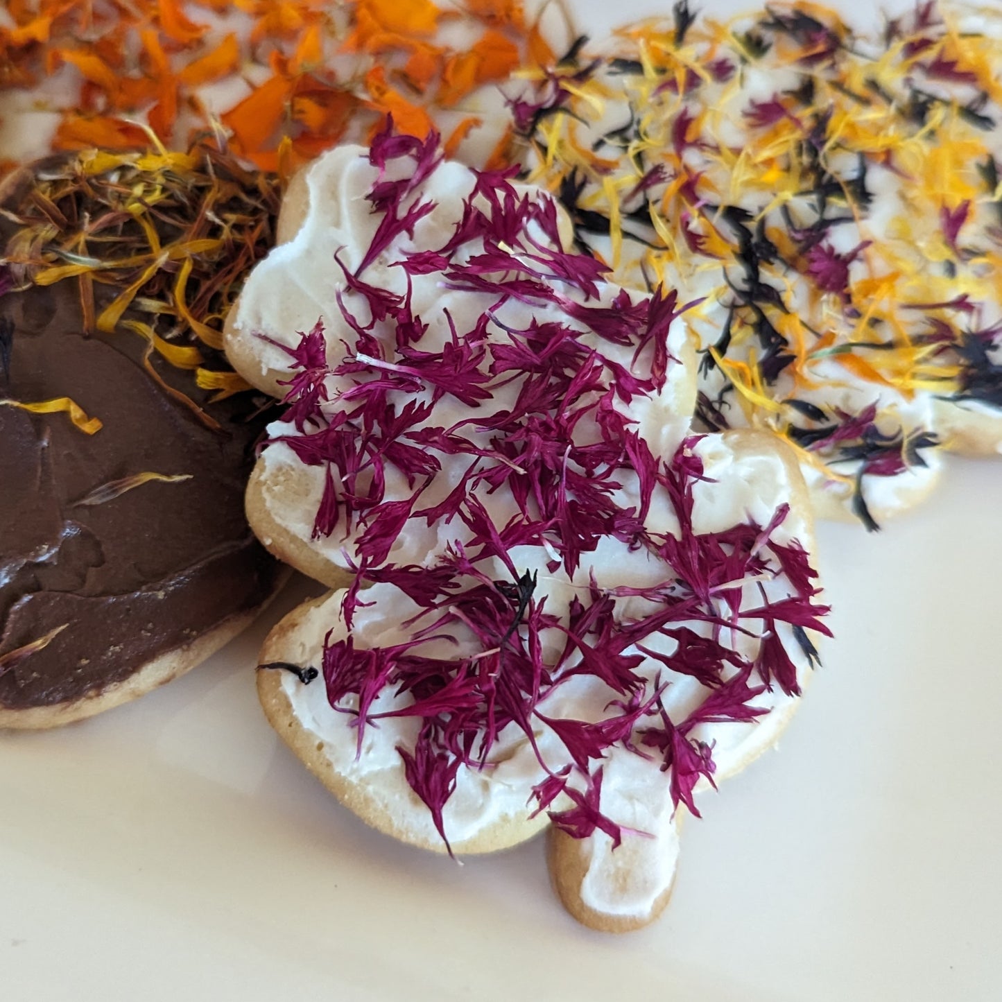 Edible Flower Petal Confetti - Colorful Cornflower Kit