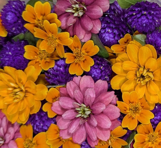 Fresh Edible Flowers - Late Summer Fun Mix