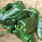 CVO Potted Plants - Ancho Poblano Peppers - Cherry Valley Organics