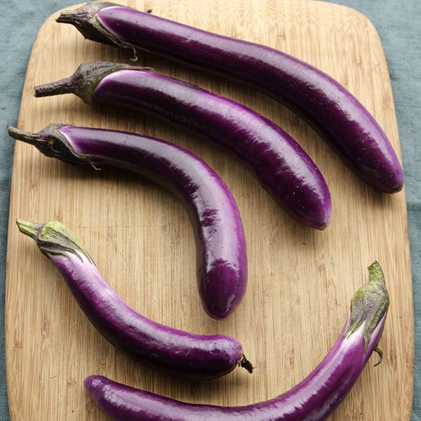 CVO Potted Plants - Eggplant, Long Purple - Cherry Valley Organics