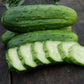 CVO Potted Plants - Cucumber, National Pickling - Cherry Valley Organics