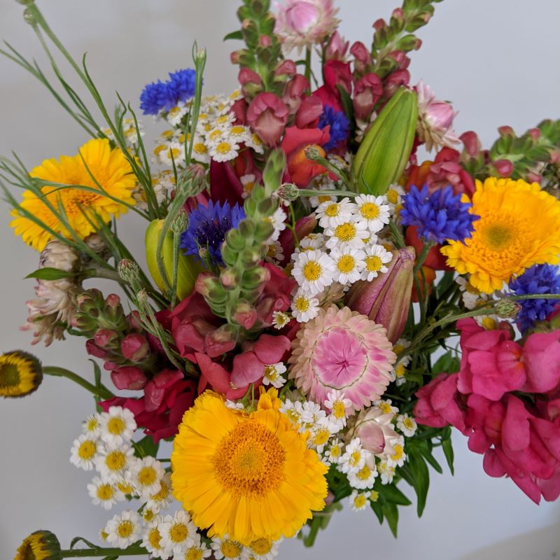 Flower Bouquet Subscription - Cherry Valley Organics