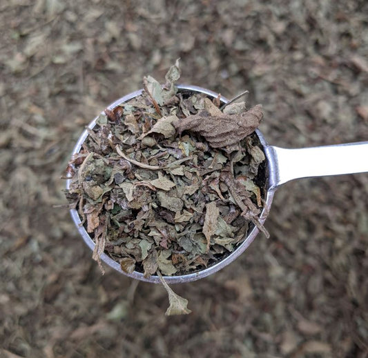Tulsi Herbal Tea - Cherry Valley Organics
