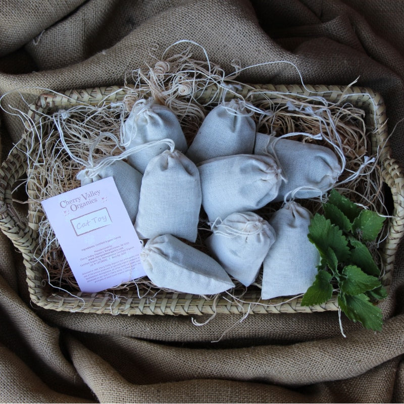 Catnip isn't JUST for cats!