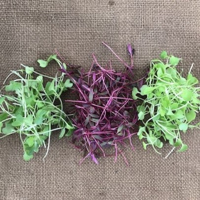 Microgreens Supplier in Pittsburgh: Cherry Valley Organics Farm