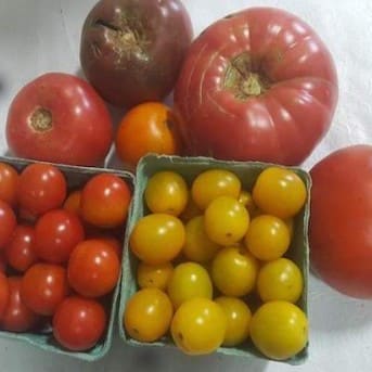 Heirloom Tomato Varieties From Our Farm to Your Home
