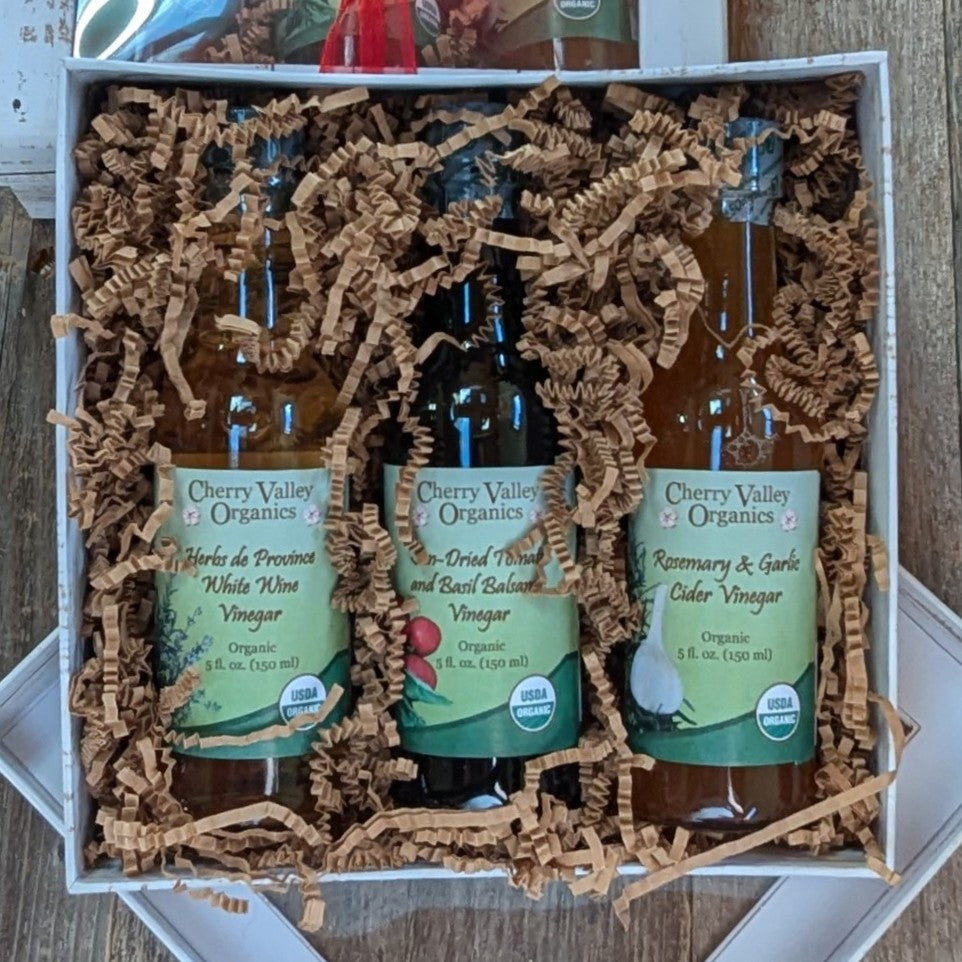 Secret Santa Surprises Under $50