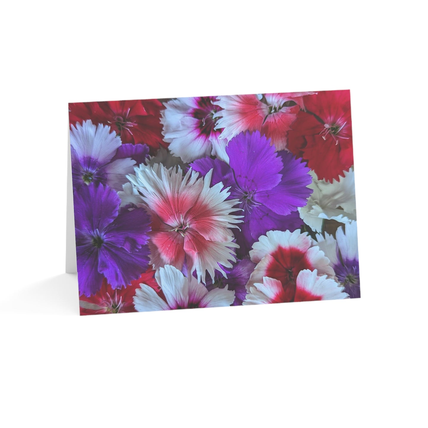 Notecards - Edible Flower Variety Pack