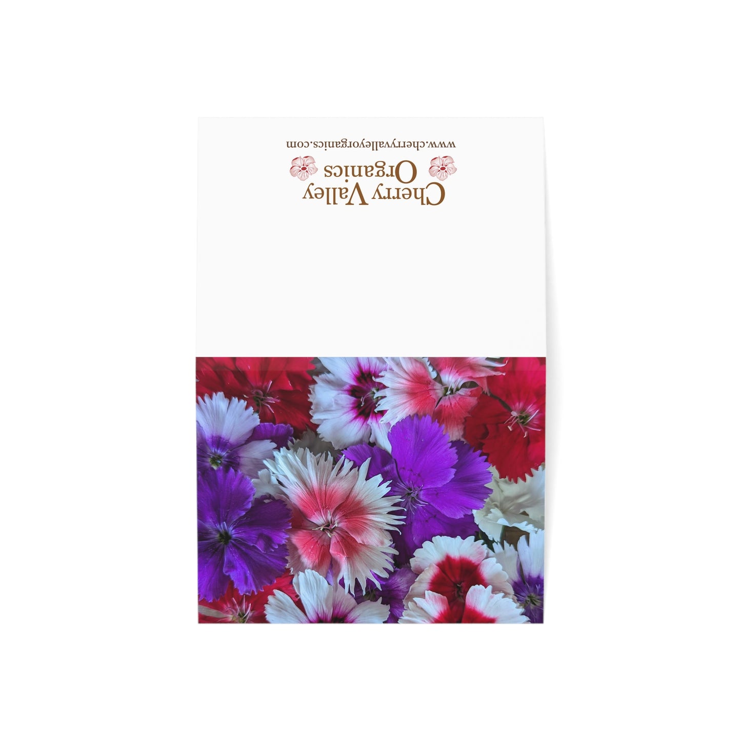 Notecards - Dianthus Mix