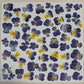 Pressed Edible Flowers - Johnny Jump Ups