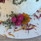 Cake Decorating Kit - Fall Harvest