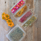 Cake Decorating Kit - Fall Harvest