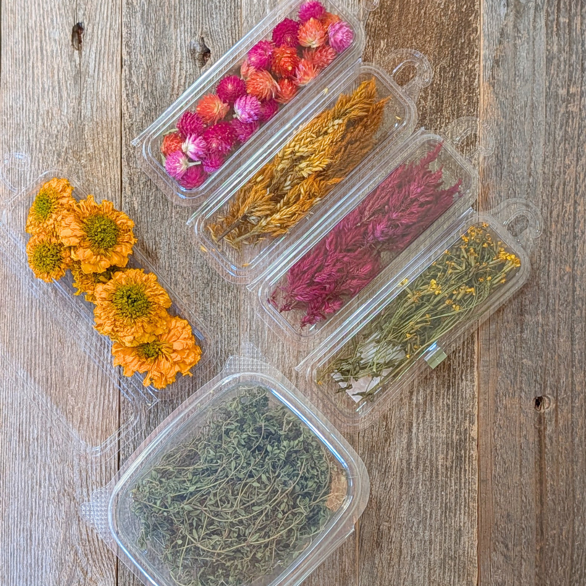 Cake Decorating Kit - Fall Harvest