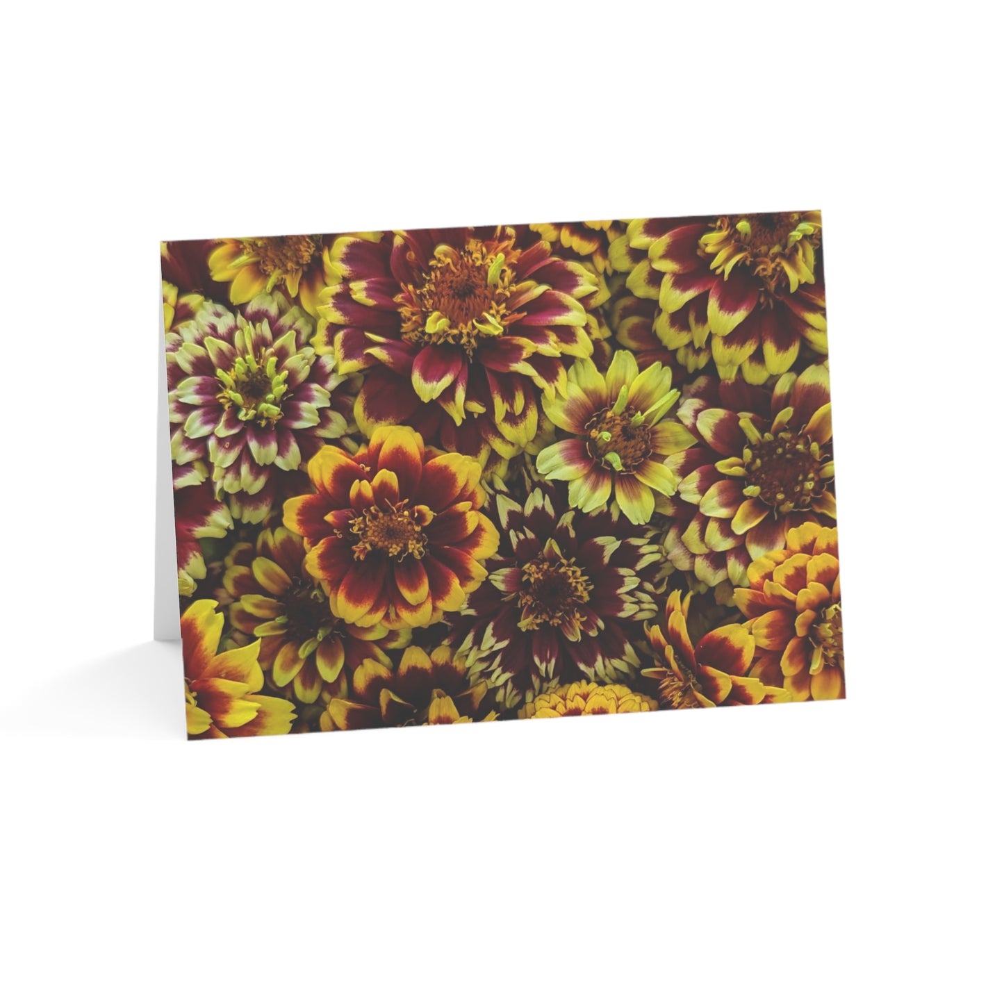 Notecards - Warm Color Zinnias